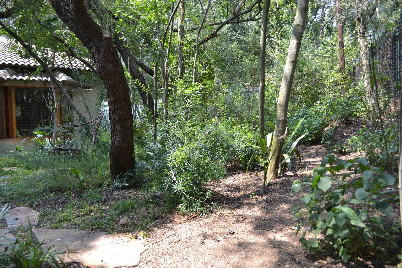Lydall Wild Tranquil Garden Suites جوهانسبورغ المظهر الخارجي الصورة